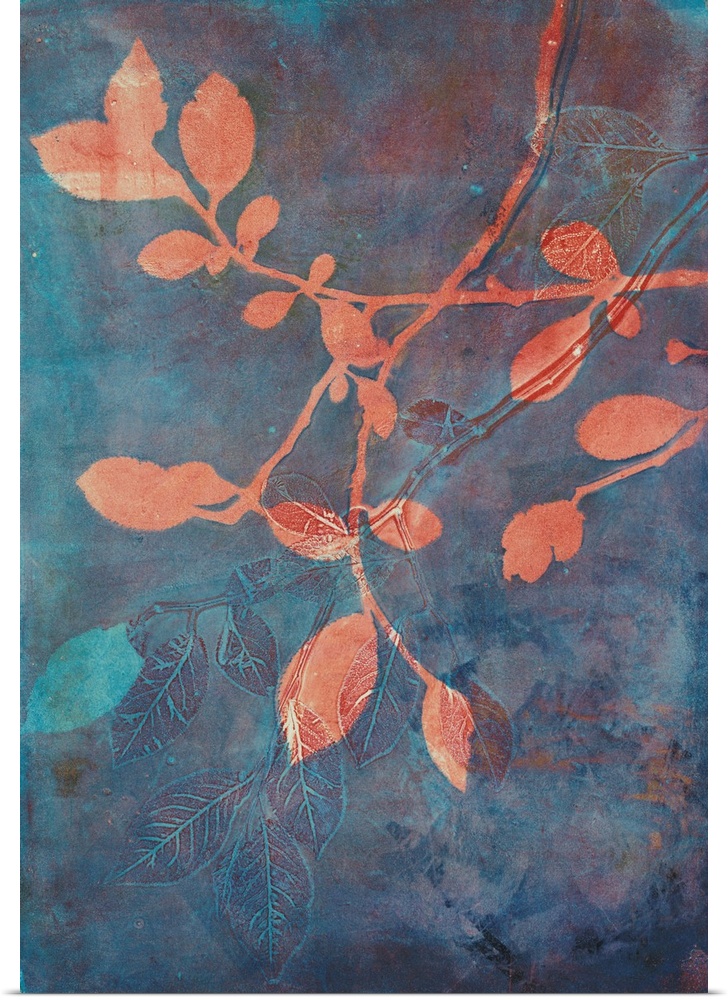 A stunning contemporary cyanotype image featruing coral colored branches against a blue and rust colored background