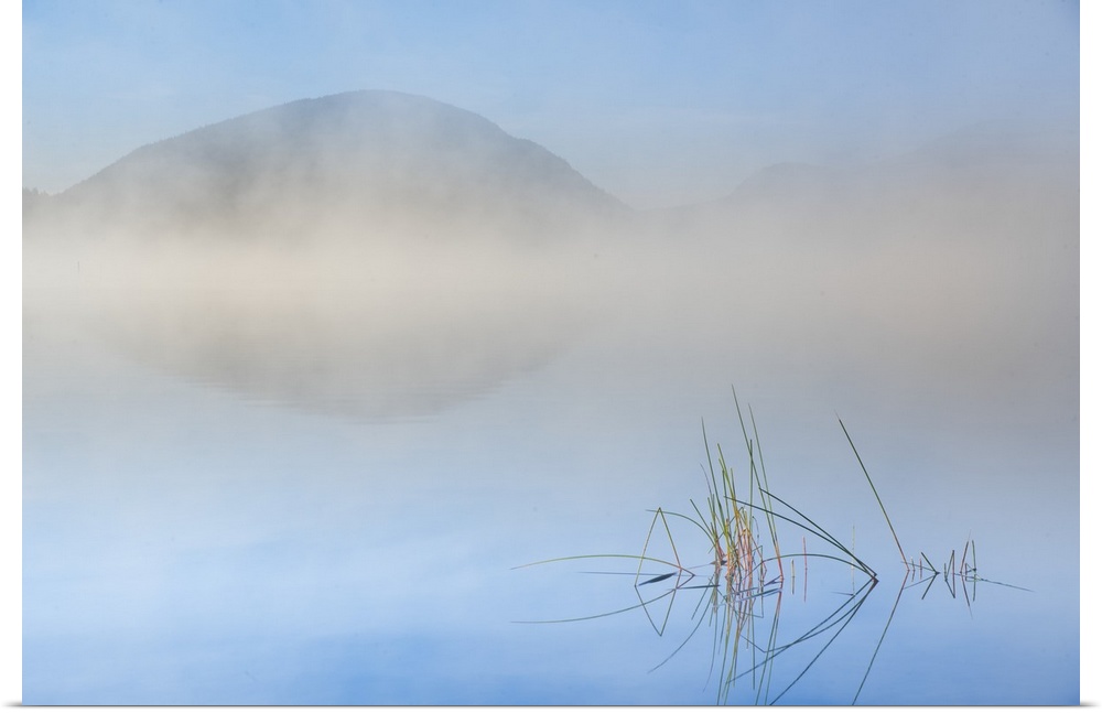 Dense fog obscuring the mountains at the edge of Eagle Lake in Acadia National Park, Maine.