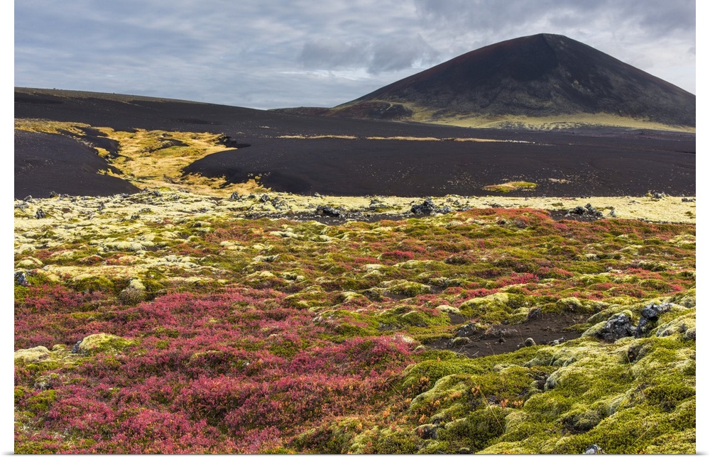 Volcanic rock covered in grass and moss growing in the fall on the Snaefellsnes peninsula, Iceland.