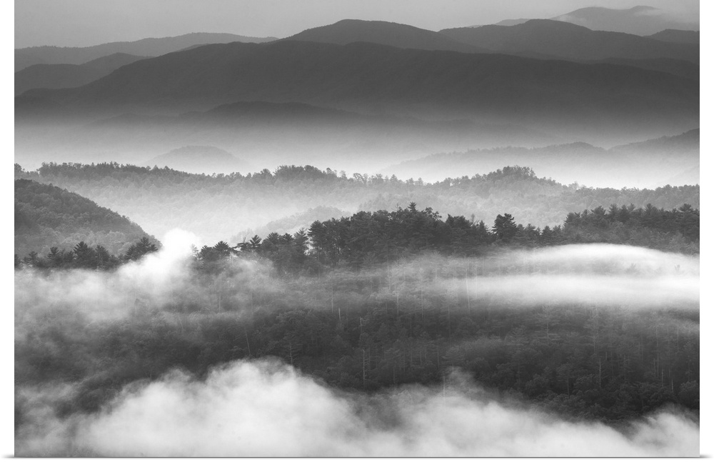 Dense fog over the hills of the Blue Ridge Mountains on the Tennessee side in the morning.