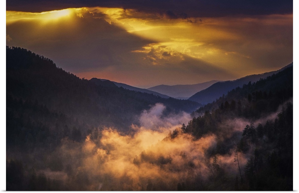 Mist in a valley in the Smoky Mountains of Tennessee, with golden sunlight.