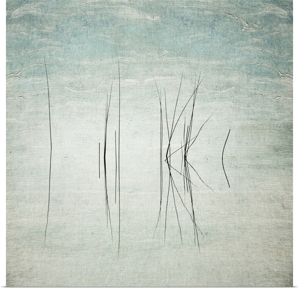 Abstract photo of thin reeds in the water with mirror images reflected.