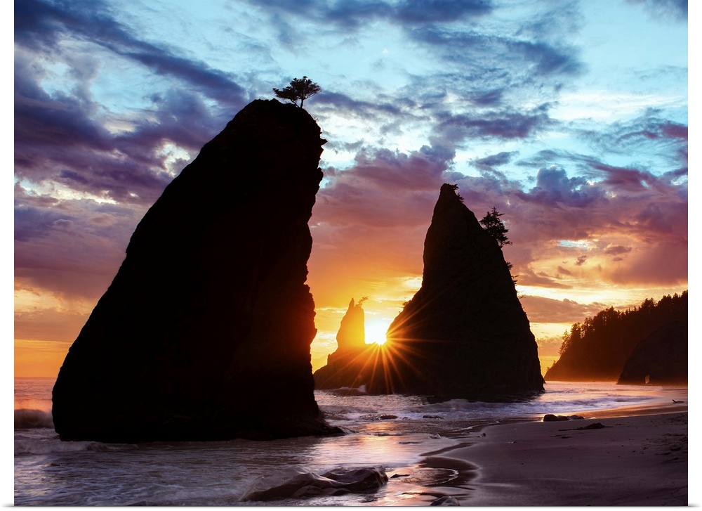 Sea stacks silhouetted by the sunset light on the Washington coast.
