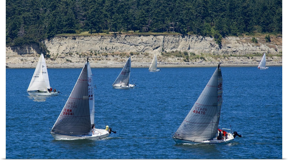 A fleet of sailboats on the calm waters surrounding Whidbey Island, Washington, in the summer.