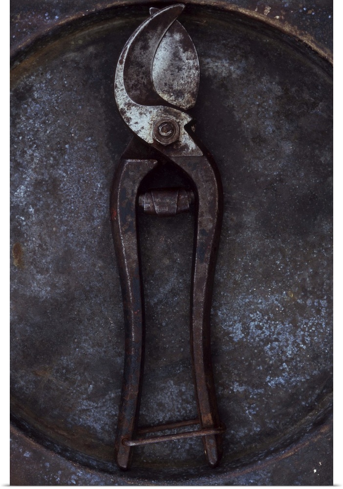 Pair of old well-used but maintained secateurs lying on tarnished metal plate