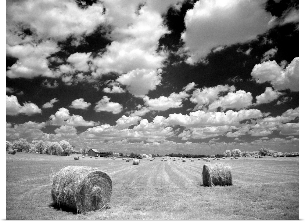 A hayfield with summer clouds