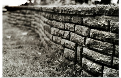 A low brick wall in a garden
