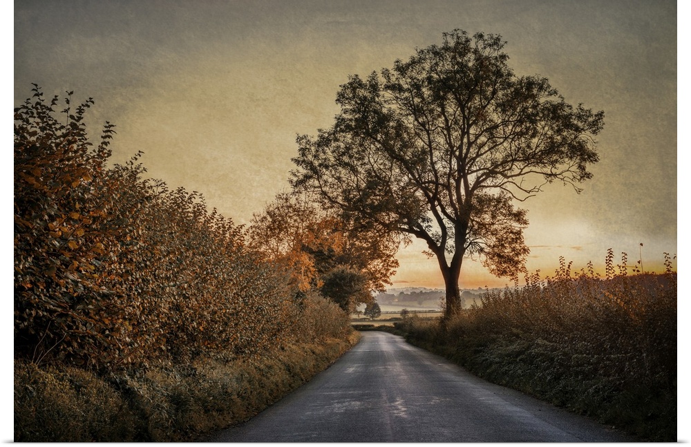 A peaceful rural scene in England at dawn with hedgerows and trees in autumn.
