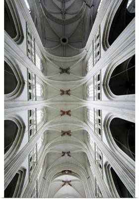 Ceiling of Saint Pierre Cathedral, Nantes, France
