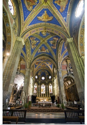 Celing and main nave of Santa Maria Sopra Minerva Basilica, Rome