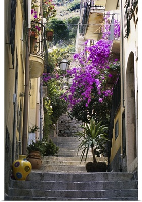 Decorations including vases and flowers line residential alleyway, Italy