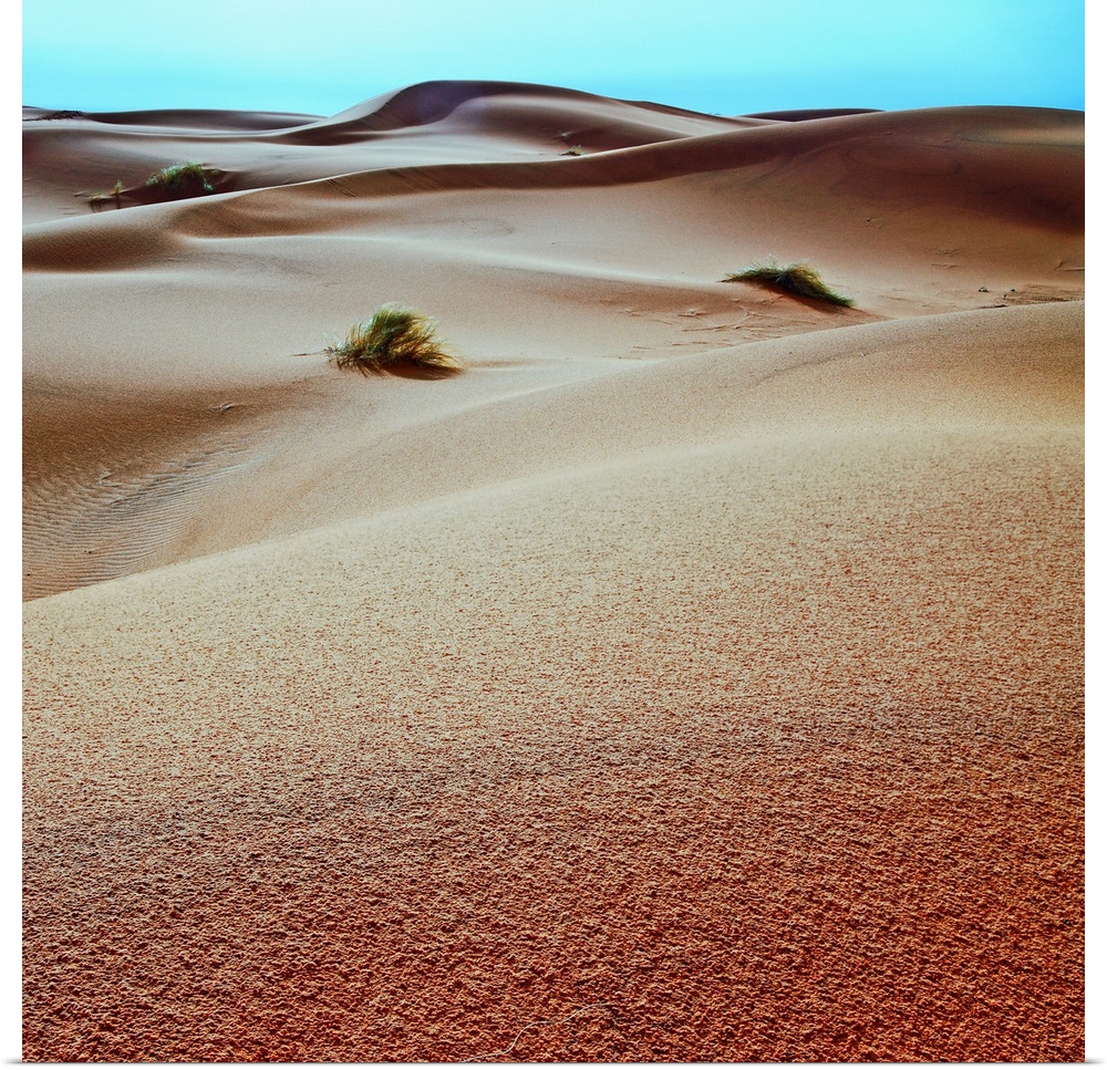 Sahara Desert Sand Dunes