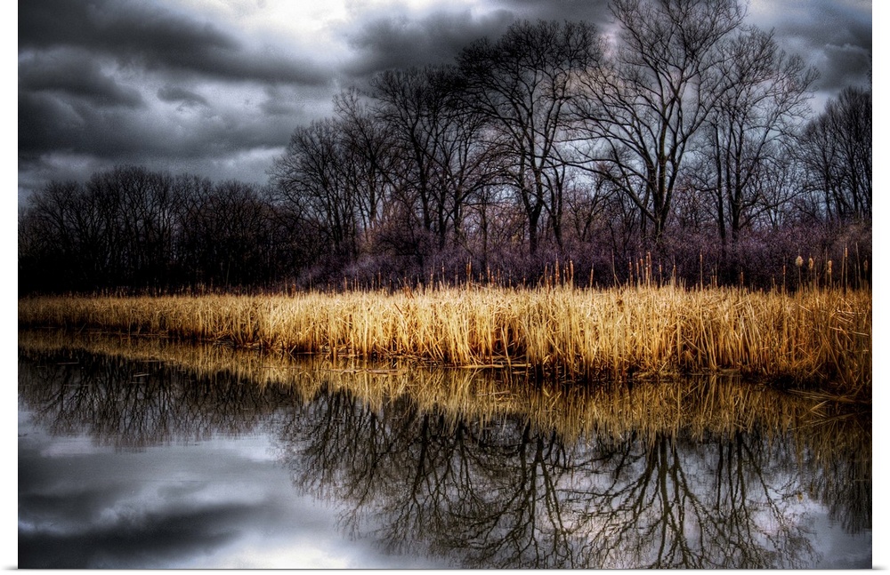 Stormy grey skies reflected in a lake with reeds and trees