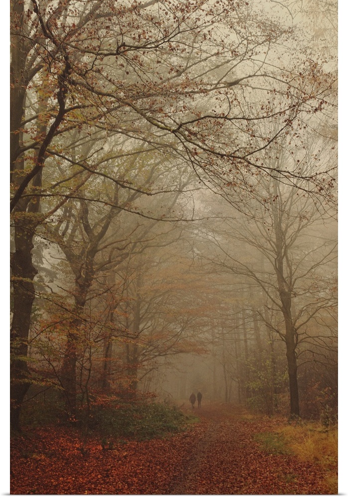 Two unrecognizable persons walking side by side on a path through an autumn forest on a foggy day