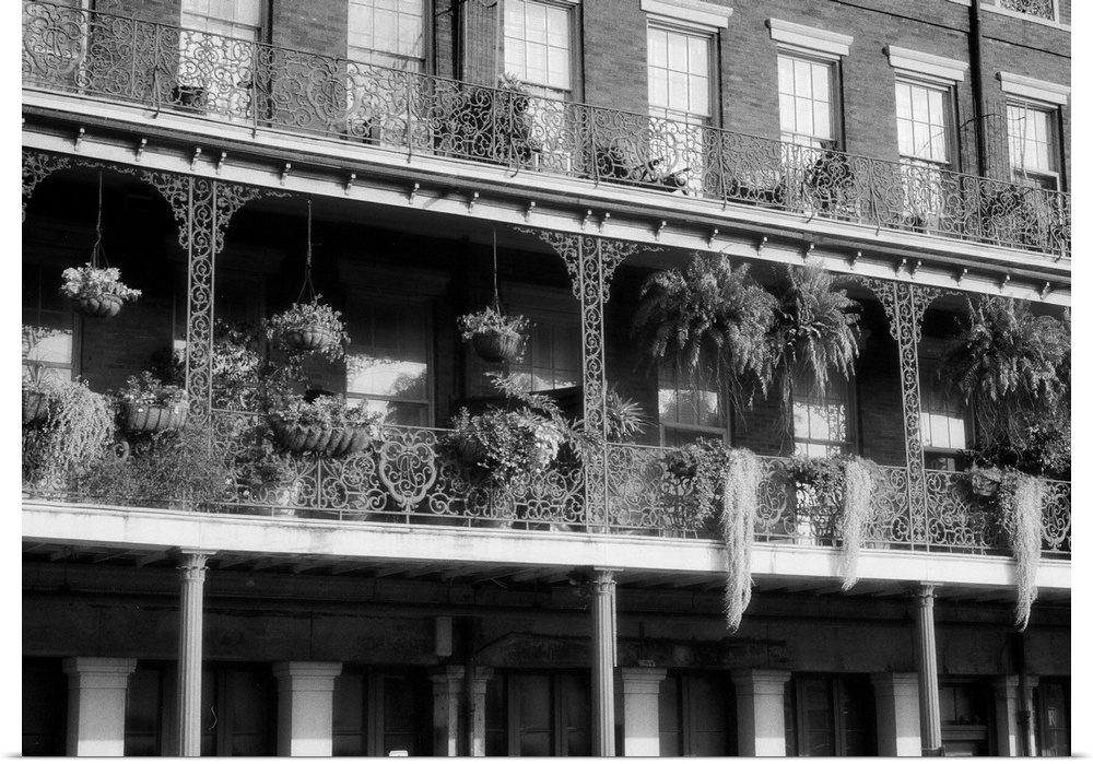 Flowers and other plants cover ornate balconies in New Orleans, LA
