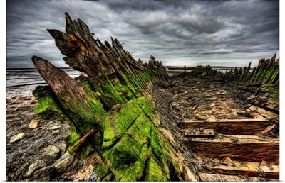 Green algaa build up and rotting wood
