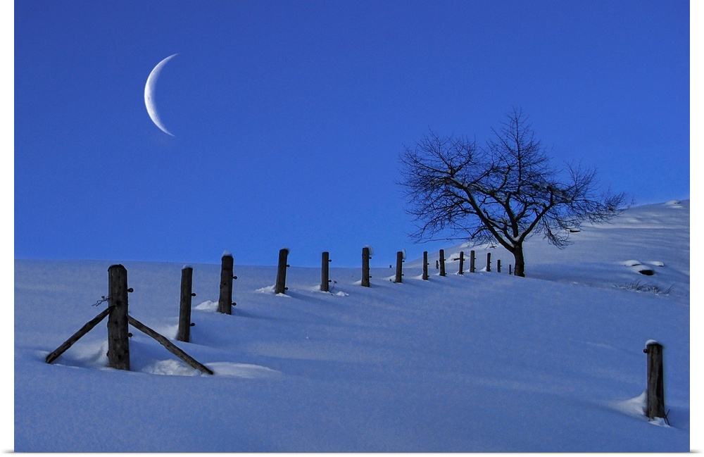 Moon Rising over a Snowy Landscape with a Single Tree and a Fence, Austria, Europe