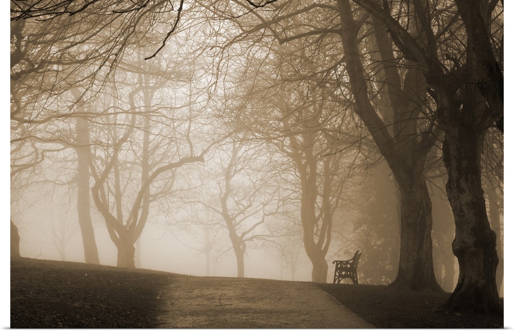 A lone park bench on a foggy day in the park