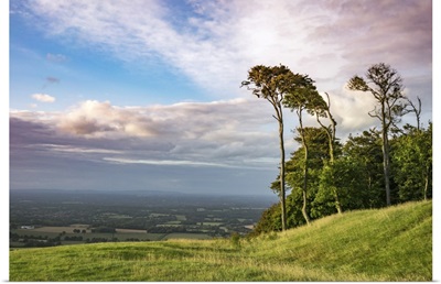 Rural Landscape In West Sussex, England