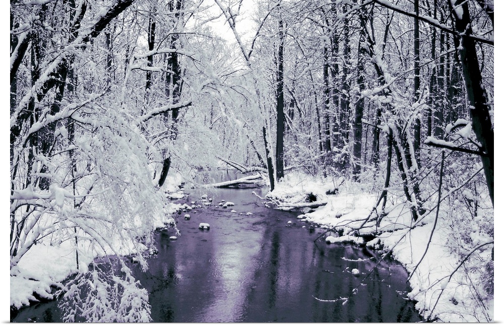 Trees covered with snow bend and lean over a creek that cuts through the thick forest.