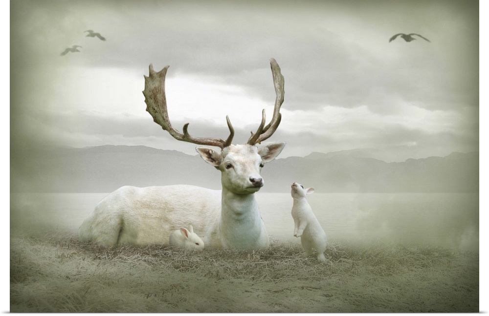 White stag sitting with white rabbits