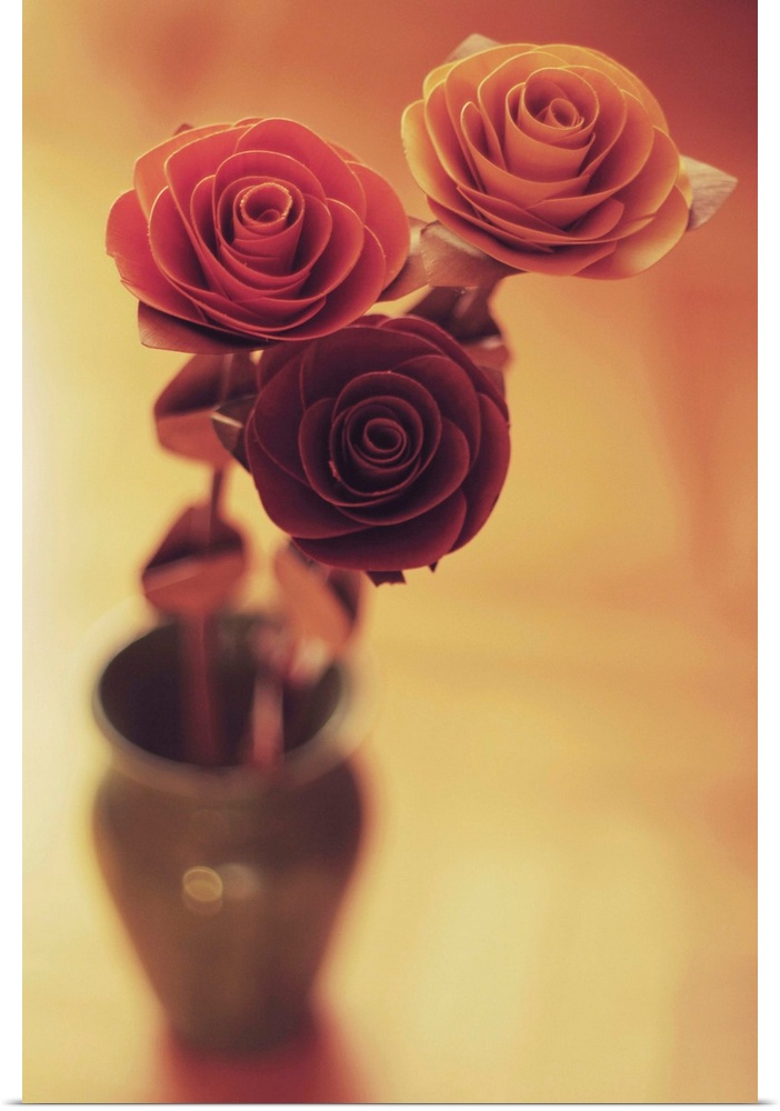 Three colourful roses in a small vase
