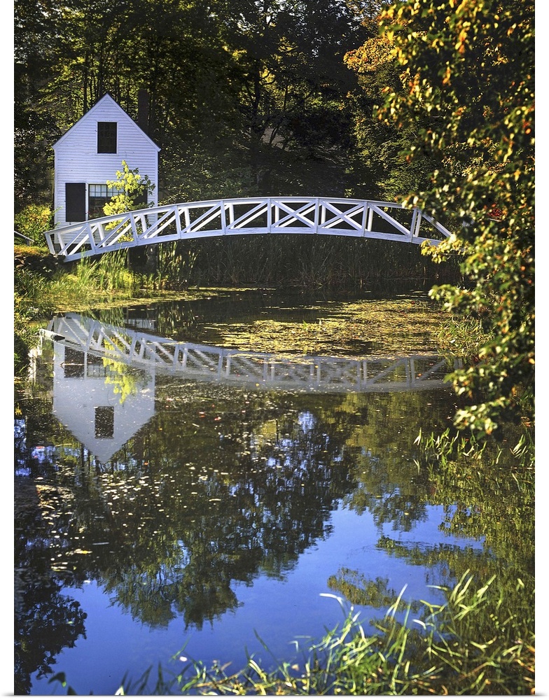 A white timber foot bridge over a pond with reflections of trees and a white building