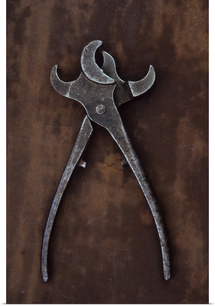 Vintage metal tool with twin heads used for applying tethering rings to noses of bulls or pigs lying open on metal sheet