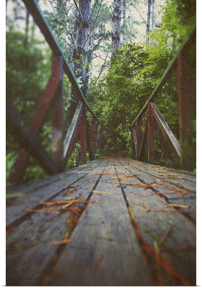 low angle view of a wooden bridge leading into a forest