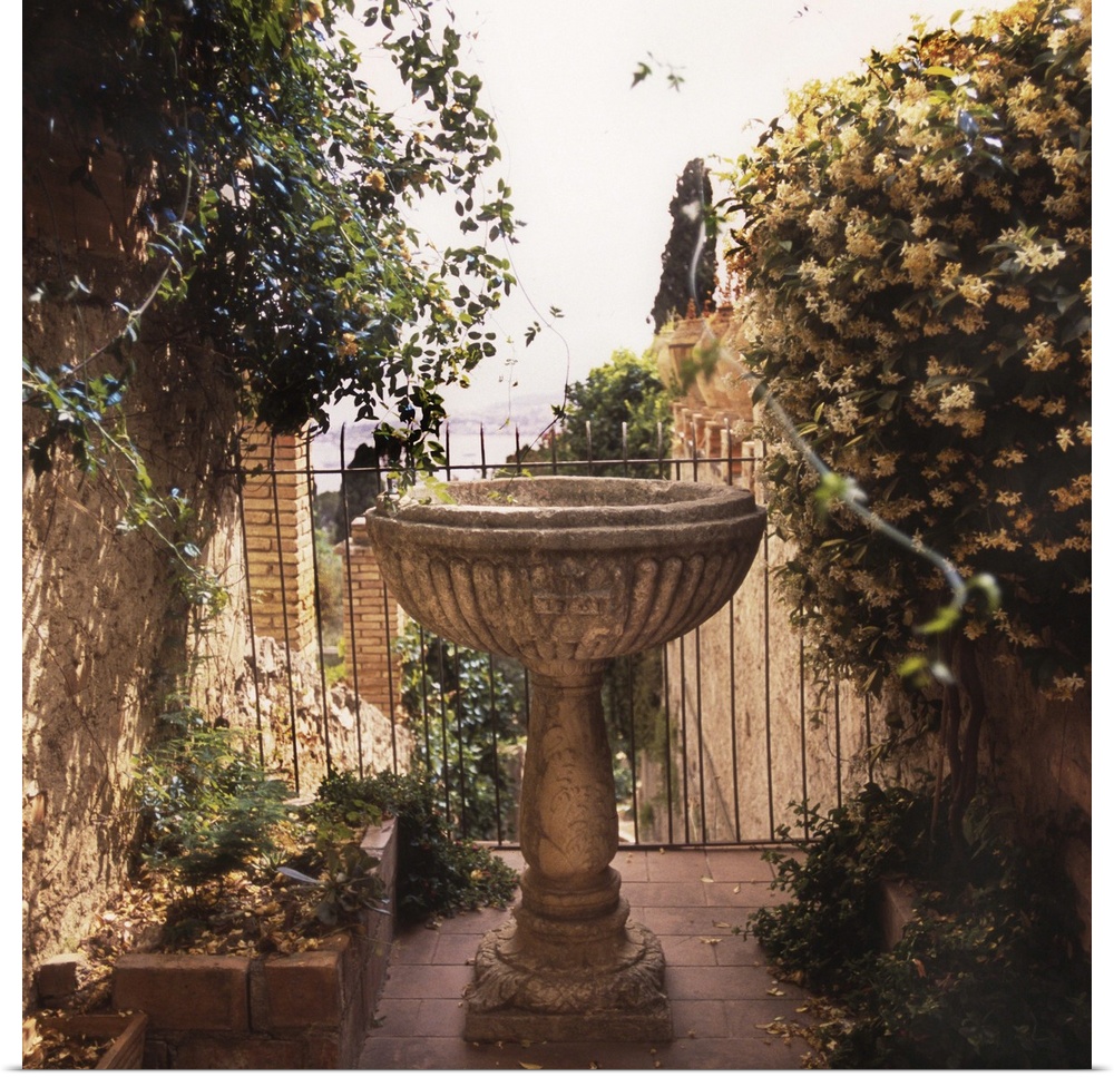 A birdbath is the centerpiece of an Italian garden