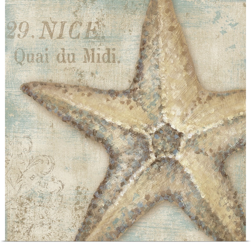 Artwork of starfish with the text "29. Nice. Quai du Midi" in beach colors.