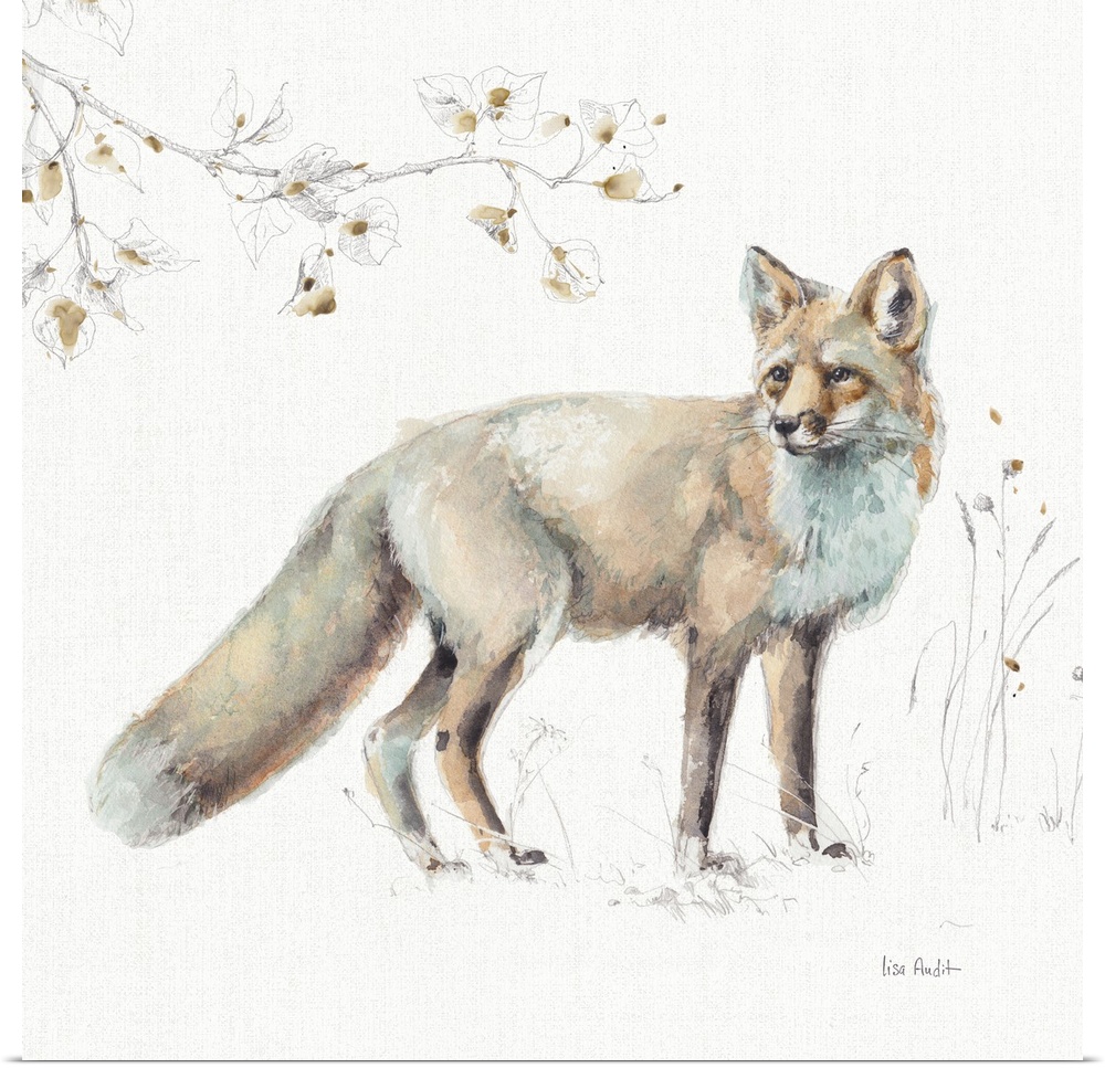Decorative artwork of a watercolor fox perched on a branch against a white background.