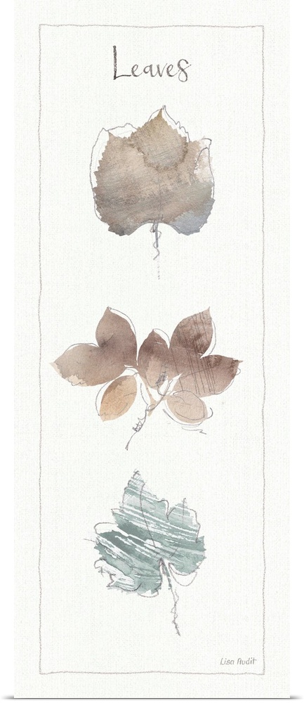 Watercolor painting of a variety of types of leaves on an off white background with a thin line border and the word "Leaves."