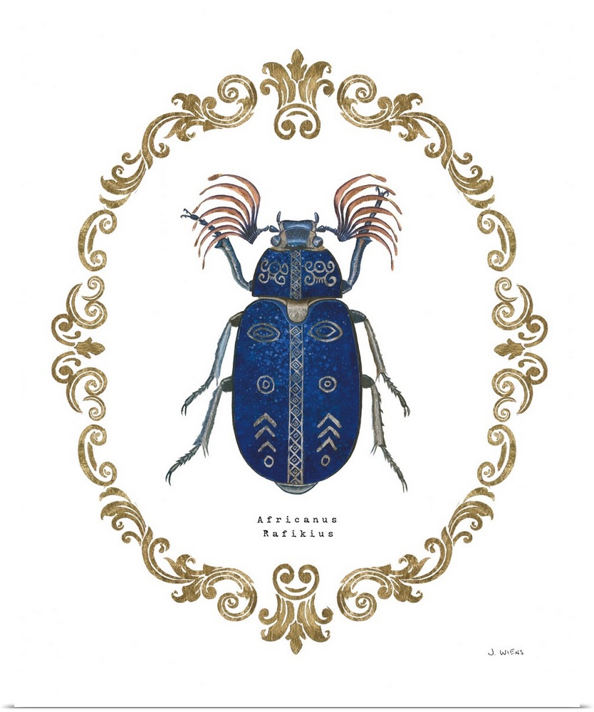 Decorative artwork of beetle a surrounded by a baroque gold frame with the words, 'Africanus Rafikius'.