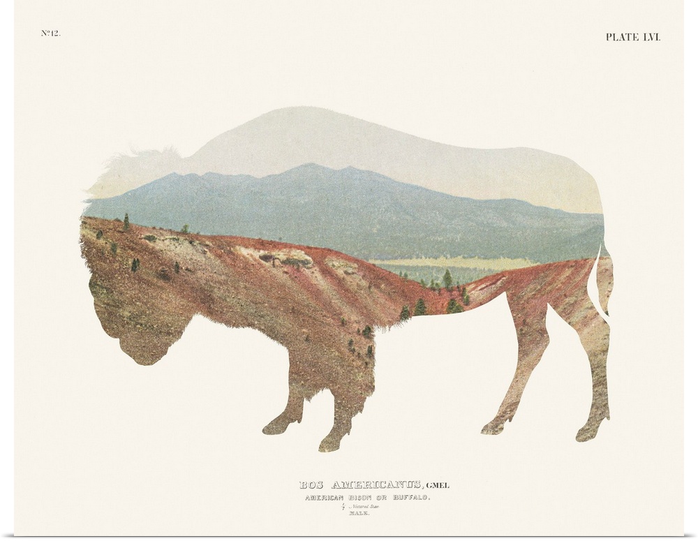 Decorative artwork featuring a double exposure of a buffalo and a southwest landscape that is adorned with 'No.12, Plate L...