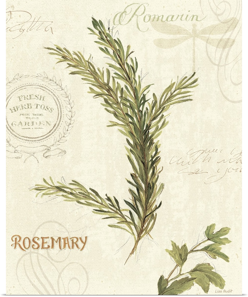 Mixed media illustration of rosemary herbs with text in the background.