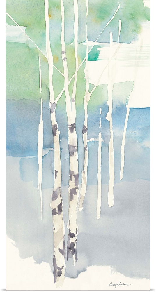 Watercolor painting of thin aspen trees.