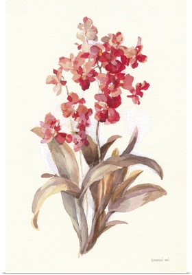 Autumn Orchid I