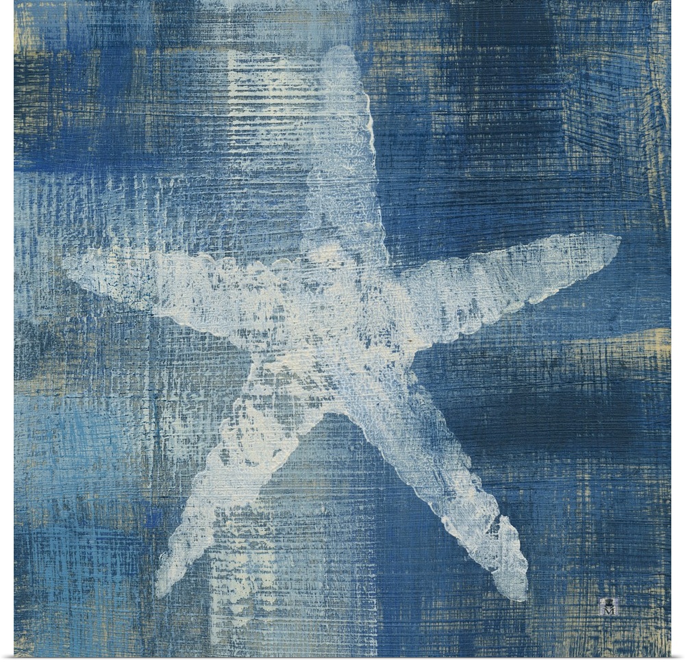Square artwork of a white starfish among a white and blue brushed finish.