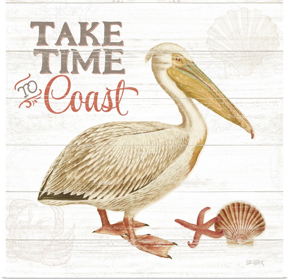 Square beach decor with an illustration of a pelican on a white wooden background and "Take Time to Coast" written in the ...