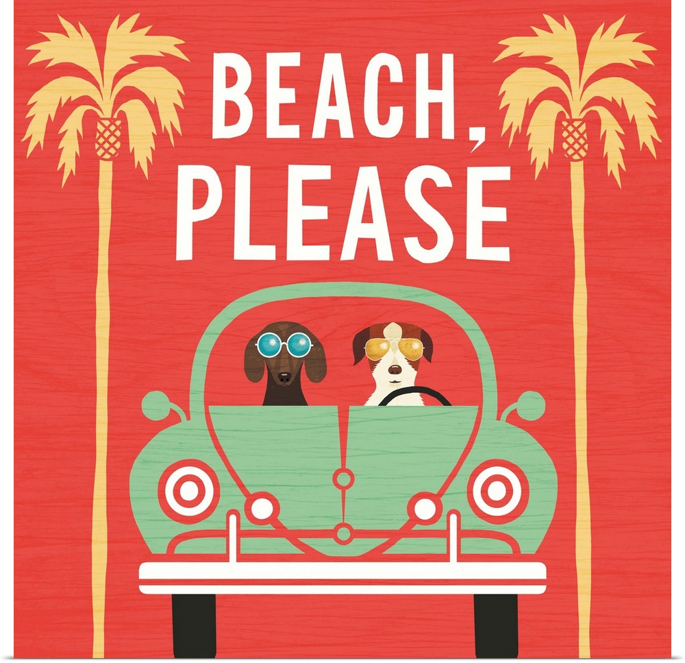 "Beach, Please" illustration of two dogs wearing sunglasses driving in a green car to the beach.