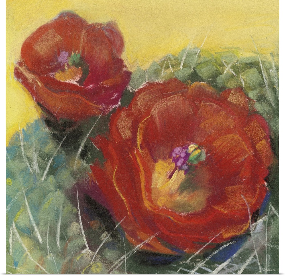 A square contemporary painting of red blooms on a cactus with a yellow background.