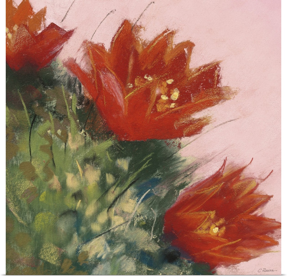 A square contemporary painting of orange blooms on a cactus with a pink background.