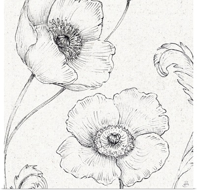Blossom Sketches I