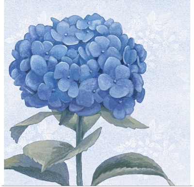 Blue Hydrangea III