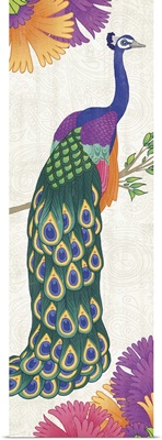 Boho Peacock I