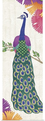 Boho Peacock II