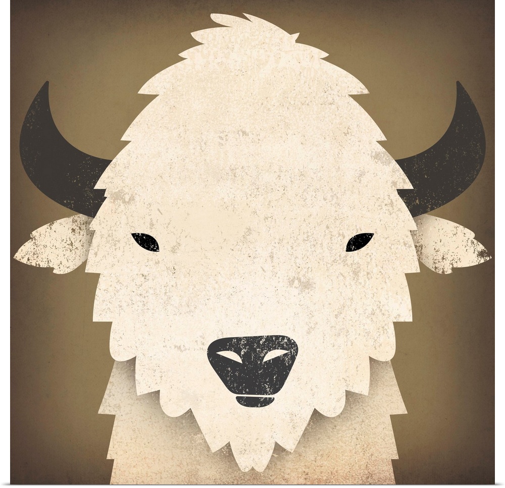 Cute portrait of a white buffalo with black horns and nose.
