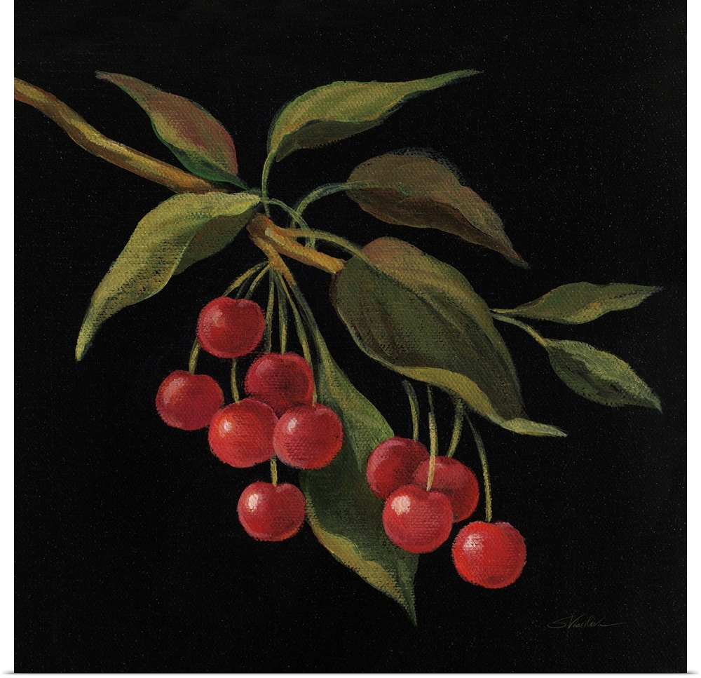 Square painting of cherries on the vine with a solid black background.