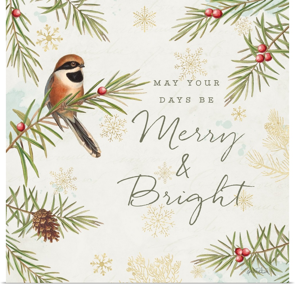 A square holiday design of a bird perched on a pine branch with the text "May your Days Be Merry & Bright" on a beige back...